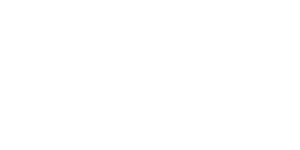 variatee-white-footer-logo